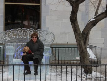 Lord Elgin Hotel Ice Bench - Winterlude 2017
