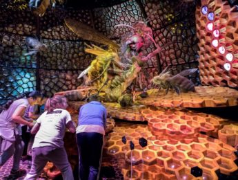 Bug Adventure Exhibition at the Canadian Museum of Nature through Summer 2024, just a short walk from the Lord Elgin Hotel in Ottawa