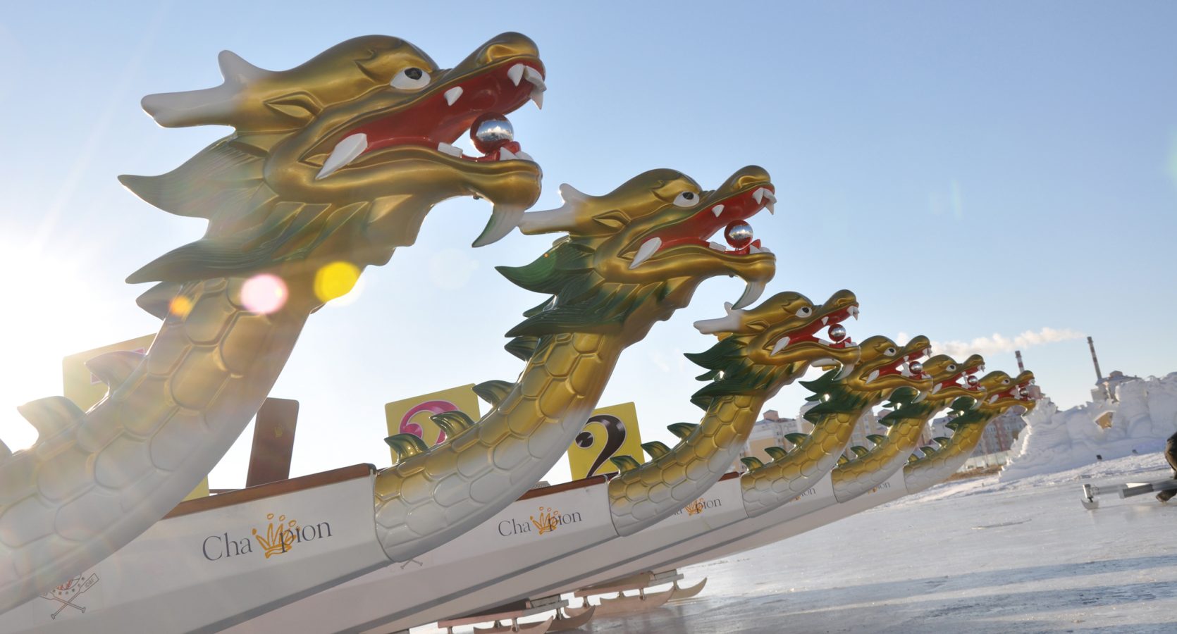 Dragon boats on the water in Ottawa.